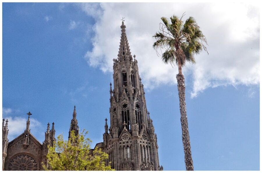 From Las Palmas: Full-Day Tour of the North - Banana farming beyond the resort image