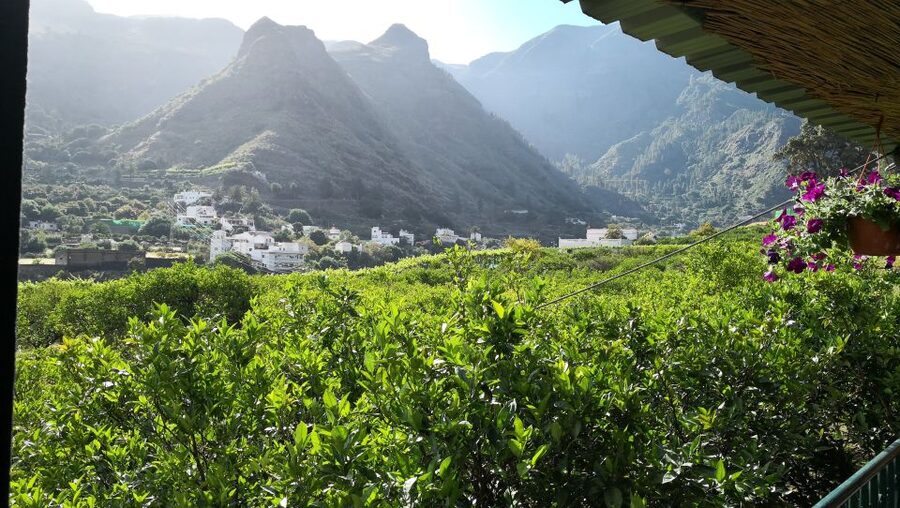 From Las Palmas: Full-Day Tour of the North - The vineyard, wine, and local cheese