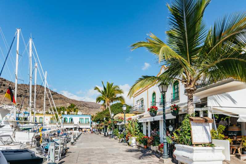 From Las Palmas: Highlights of Gran Canaria Day Tour - Key points at a glance