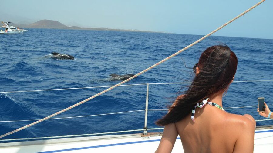 From Los Gigantes: Whale Watching Sailboat Cruise - Should you book the Picarus Sailing Club cruise?