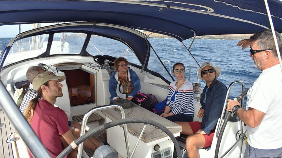 From Los Gigantes: Whale Watching Sailboat Cruise - A 15-minute swim beside Los Gigantes