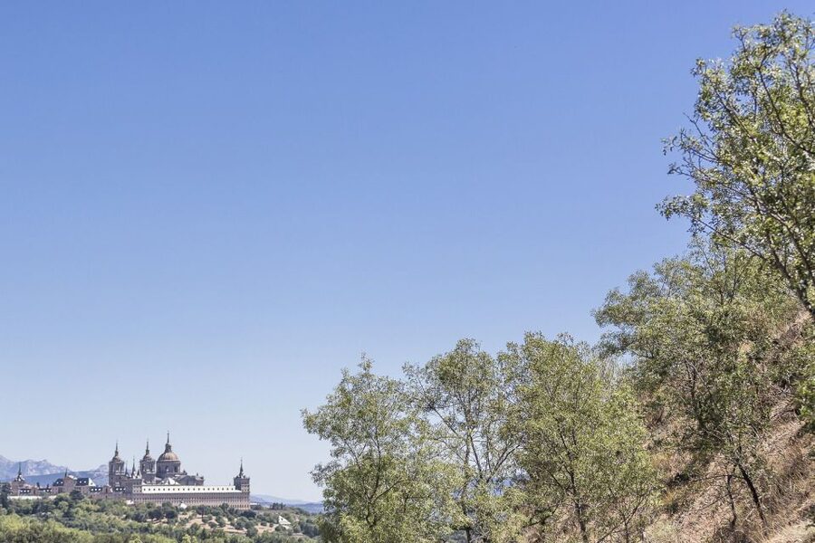 From Madrid: Escorial Monastery & Valley of the Fallen Trip - How the $78 price compares with the experience