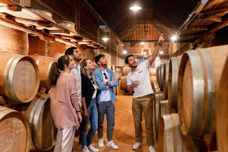 From Madrid: Toledo City Tour and Wine Tasting Experience - Walking through Toledo’s Jewish Quarter