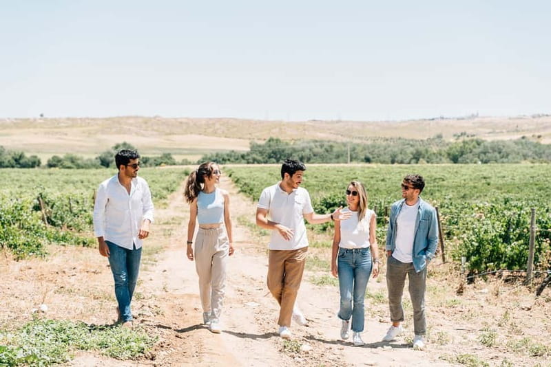 From Madrid: Toledo City Tour and Wine Tasting Experience - What the vineyard visit adds