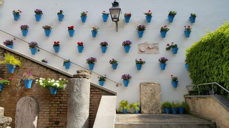 From Malaga and Costa Del Sol: Cordoba Day Trip - The Mosque-Cathedral and the Patio de los Naranjos