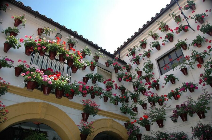 From Malaga and Costa Del Sol: Cordoba Day Trip - Alcázar, Roman Bridge, and Calahorra Tower