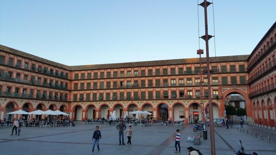 From Malaga and Costa Del Sol: Cordoba Day Trip - What to eat during the free time