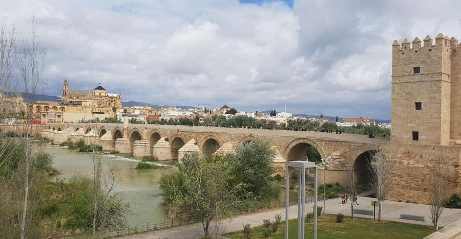 From Malaga and Costa Del Sol: Cordoba Day Trip - Five hours to build your own Córdoba day