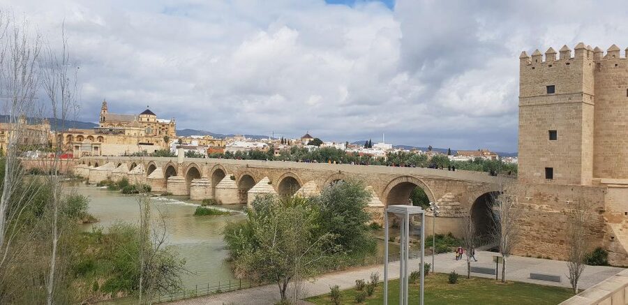 From Malaga: Cordoba Day Trip and Mosque-Cathedral - Entering the Mosque-Cathedral through the Patio de los Naranjos