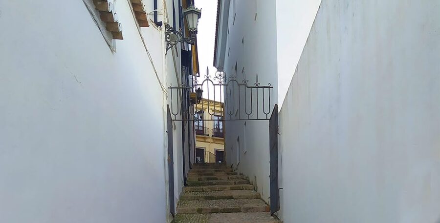 From Malaga: Ronda and Setenil Tour with Scenic Train - Choosing the two-hour guided walk or four hours alone
