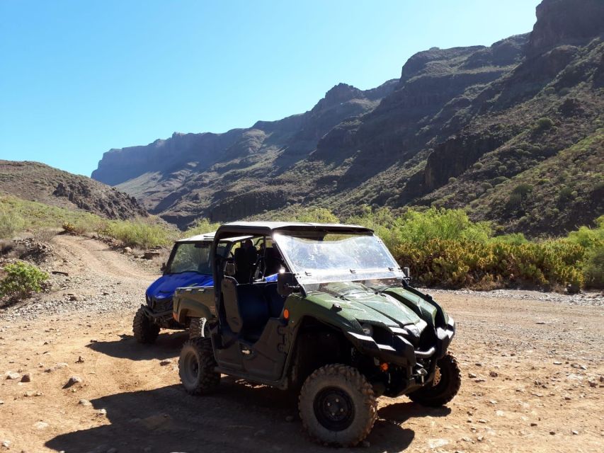 From Maspalomas: Volcanic Landscapes 4-Seater Buggy Tour - What the guide adds to the ride