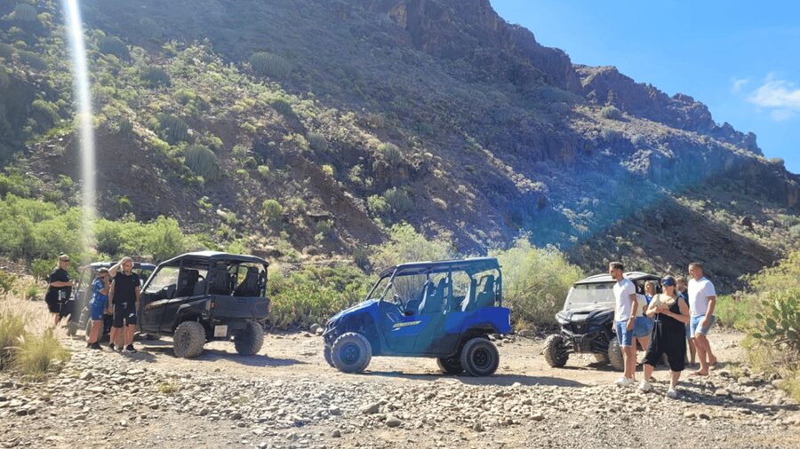 From Maspalomas: Volcanic Landscapes 4-Seater Buggy Tour - Family comfort, safety, and small practical details