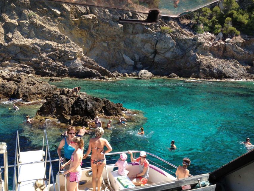 From Palma: 3-Hour Morning Dolphin Watching Boat Tour - Key Points