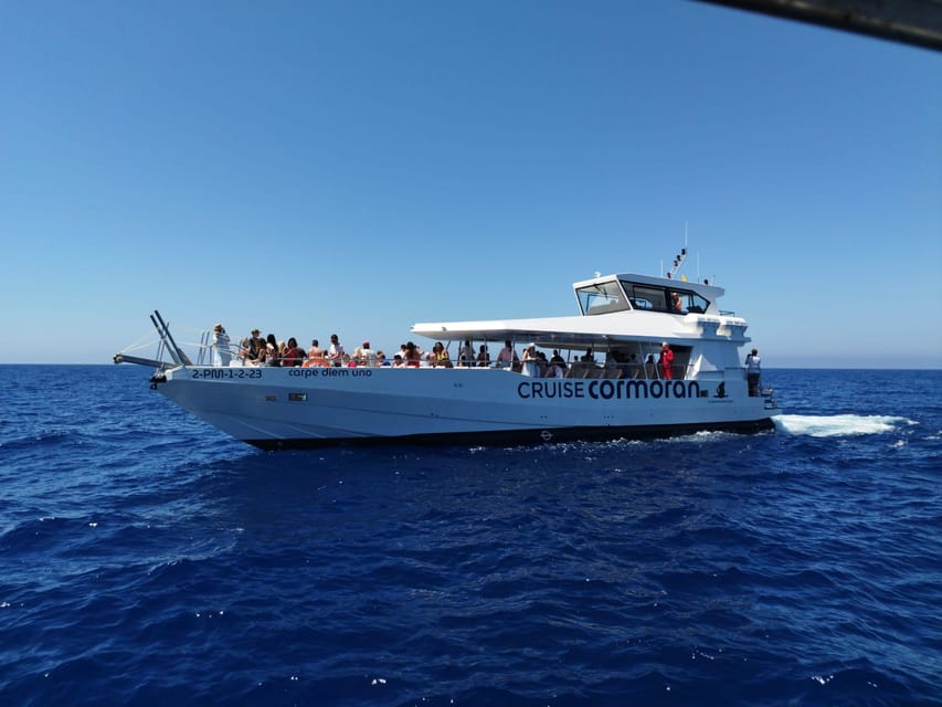 From Palma: 3-Hour Morning Dolphin Watching Boat Tour - Leaving Palma at 10:30