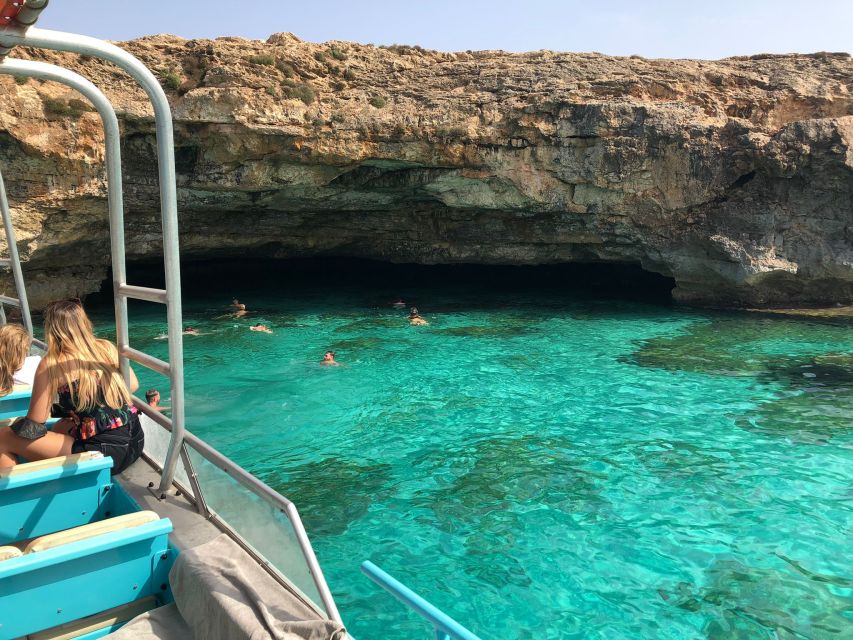 From Palma: 3-Hour Morning Dolphin Watching Boat Tour - The Dolphin Search in Open Water