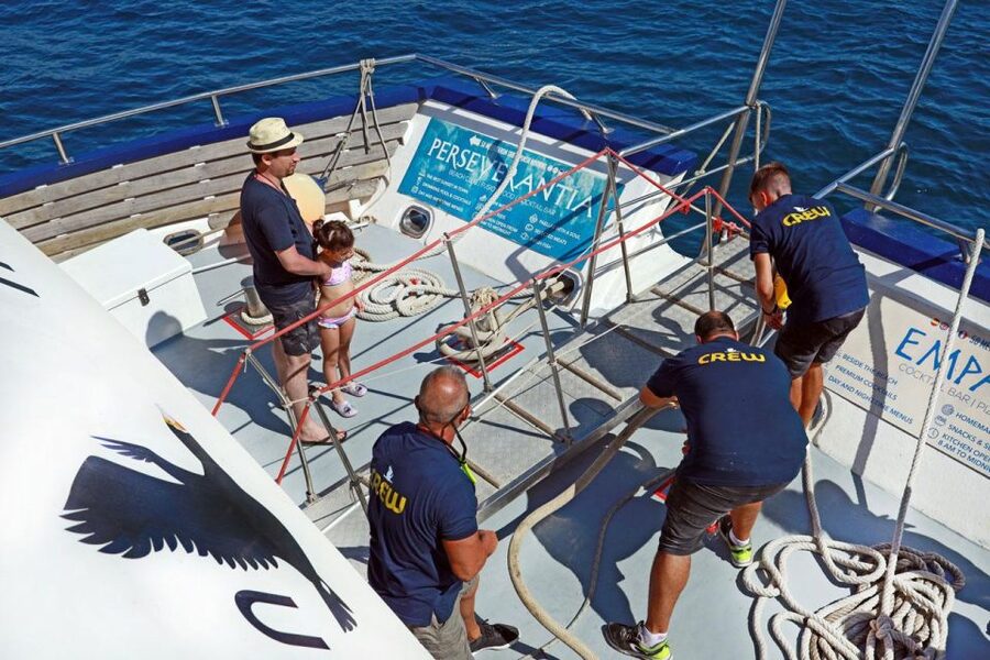 From Palma: 3-Hour Morning Dolphin Watching Boat Tour - Who Will Enjoy This Boat Trip