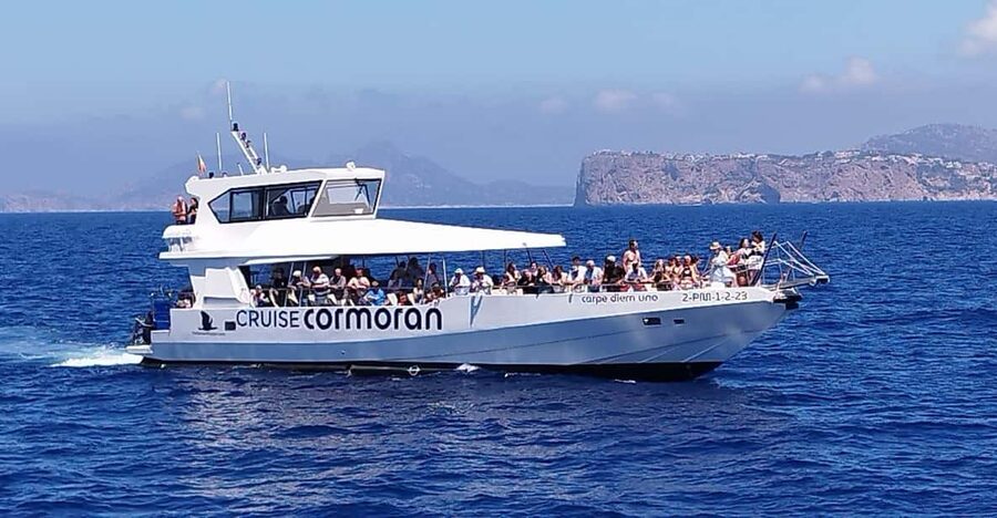From Palma: Afternoon Dolphin-Watching Boat Tour - Key points to know before booking