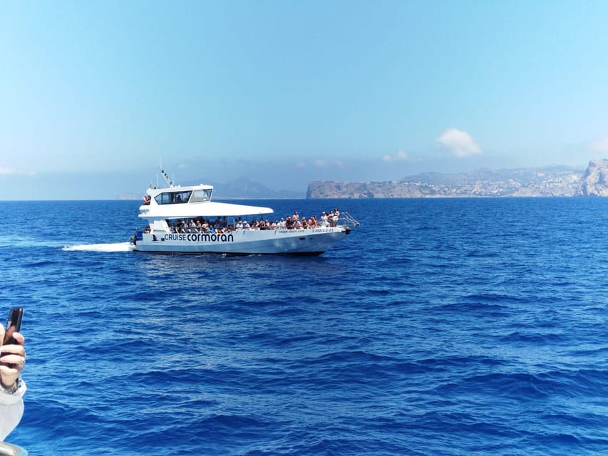 From Palma: Afternoon Dolphin-Watching Boat Tour - Should you book the Cruise Cormoran dolphin trip?