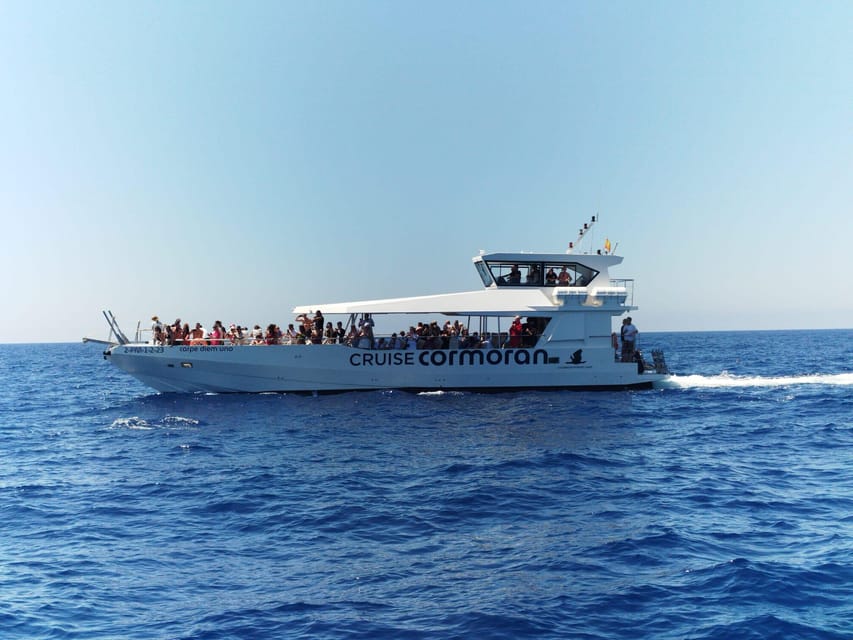 From Palma: Afternoon Dolphin-Watching Boat Tour - What the speedboat is really like