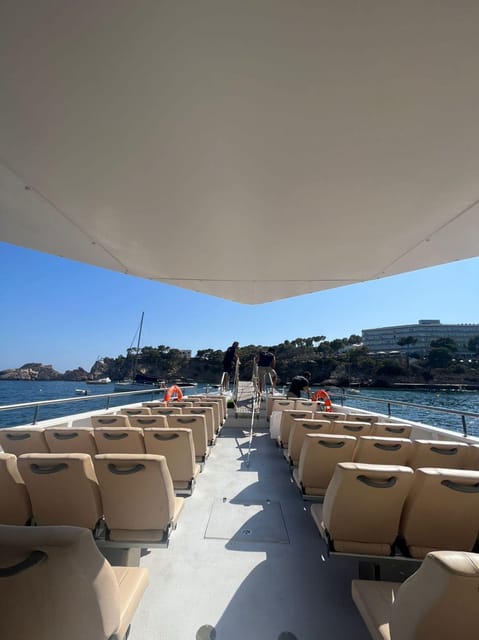 From Palma: Afternoon Dolphin-Watching Boat Tour - The €63 price and what you receive