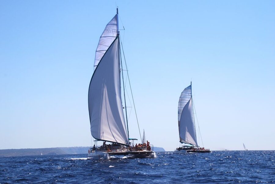From Palma de Mallorca: Boat Cruise to Illetes - Key points to know before you book