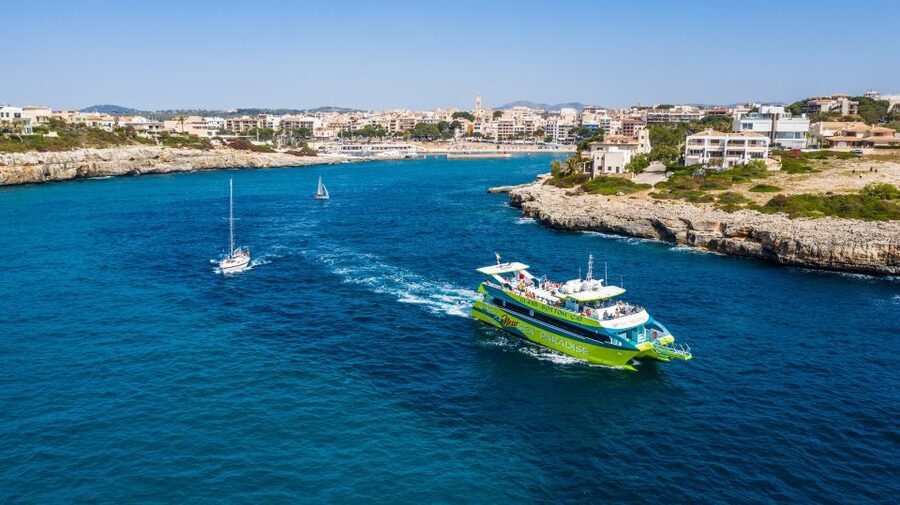 From Porto Cristo: East Coast Glass-Bottom Boat Trip - Key points at a glance