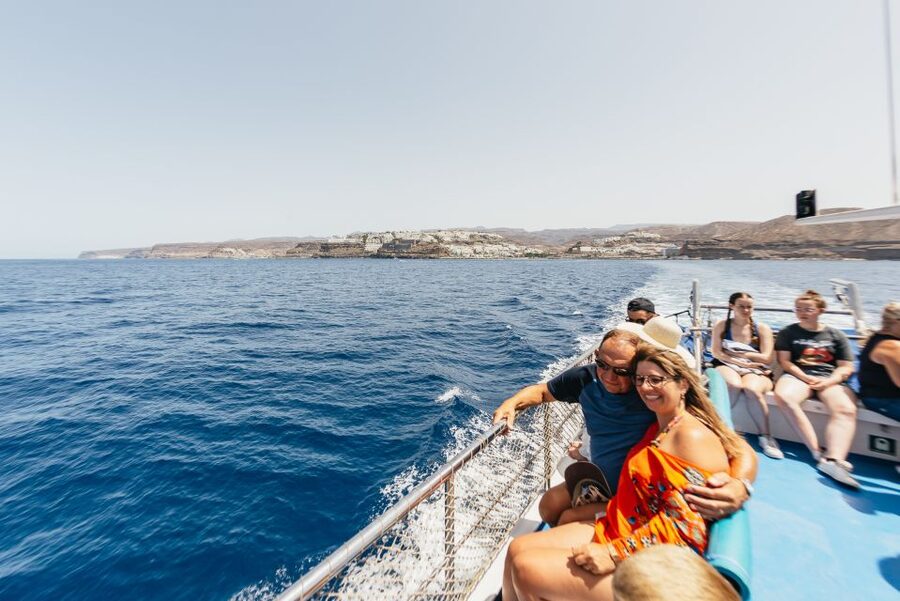 From Puerto Rico de Gran Canaria: Dolphin Watching Cruise - Booking details worth checking