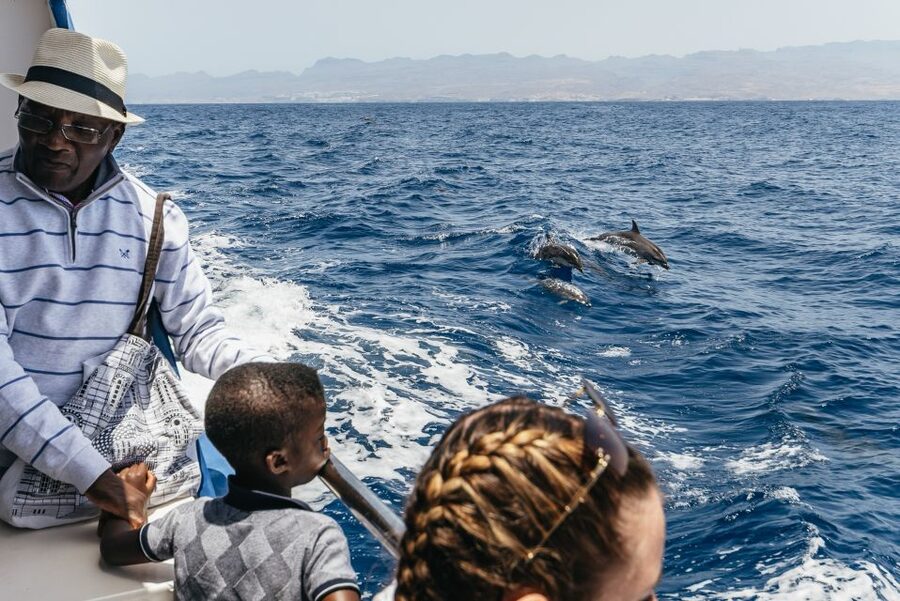 From Puerto Rico de Gran Canaria: Dolphin Watching Cruise - The crew’s role in making sightings useful