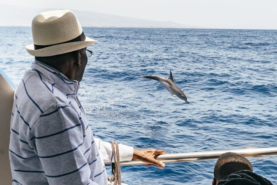 From Puerto Rico de Gran Canaria: Dolphin Watching Cruise - Is $47 good value?