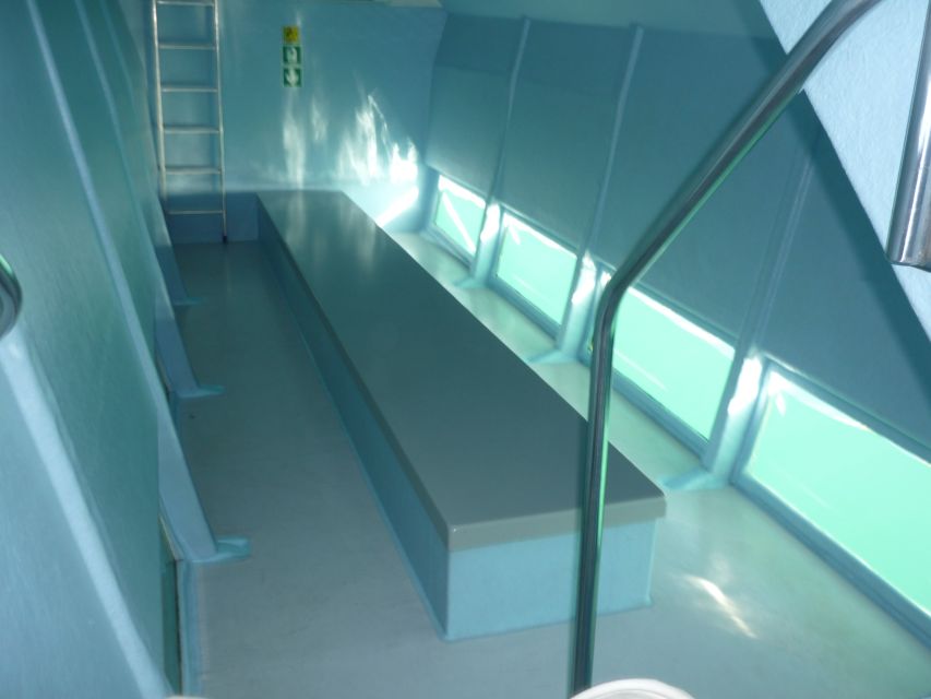 From Roses: Cap Norfeu Boat Cruise & Swimming - What happens in the underwater viewing rooms