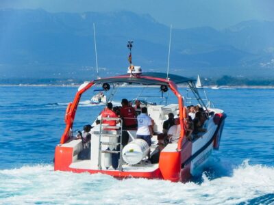 From Salou/Cambrils: Speedboat Tour