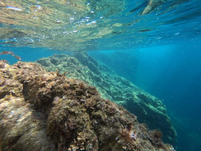 From Sant Feliu de Guíxols: Kayak and Snorkel in Costa Brava - Timing, weather, and what can change
