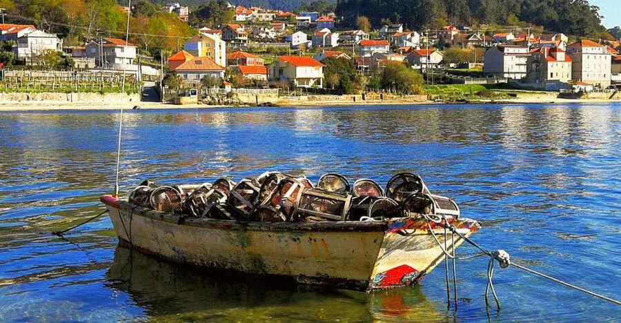 From Santiago: Rías Baixas Galicia Seafood & Wine Day Tour - The mussel cruise is the star attraction