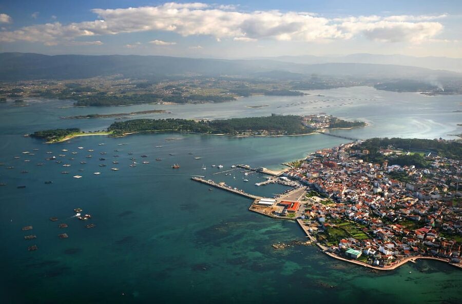 From Santiago: Tour to Rias Baixas with Boat Trip and Winery - The Albariño winery and three-wine tasting