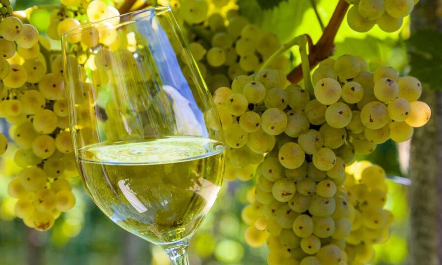 From Santiago: Tour to Rias Baixas with Boat Trip and Winery - Transport, guides, and the rhythm of the day