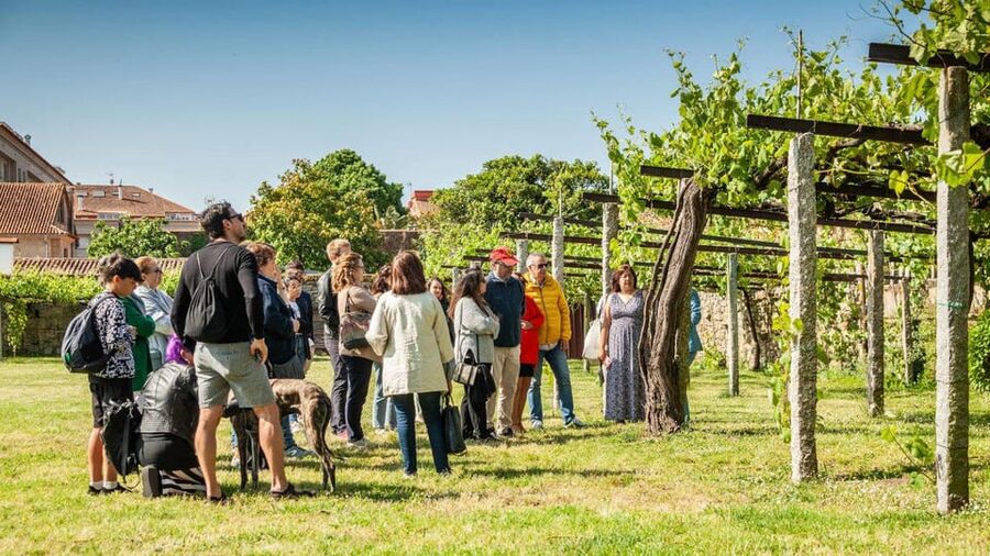 From Santiago: Tour to Rias Baixas with Boat Trip and Winery - Combarro: Galicia in stone, granite, and sea air