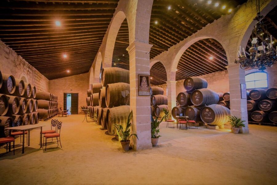 From Seville: Cadiz and Jerez de la Frontera Day Trip - What the $117 price really buys