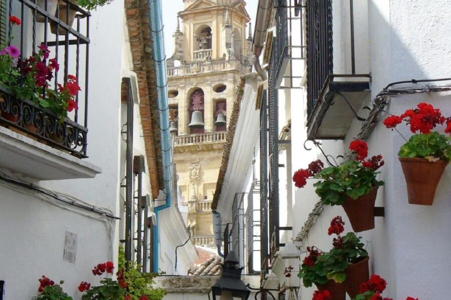 From Seville: Córdoba and Mosque Cathedral Full-Day Tour - Who will enjoy this day trip most?