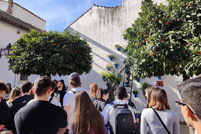 From Seville: Cordoba and Mosque-Cathedral Skip the Line - Walking the Jewish Quarter and Calle de las Flores