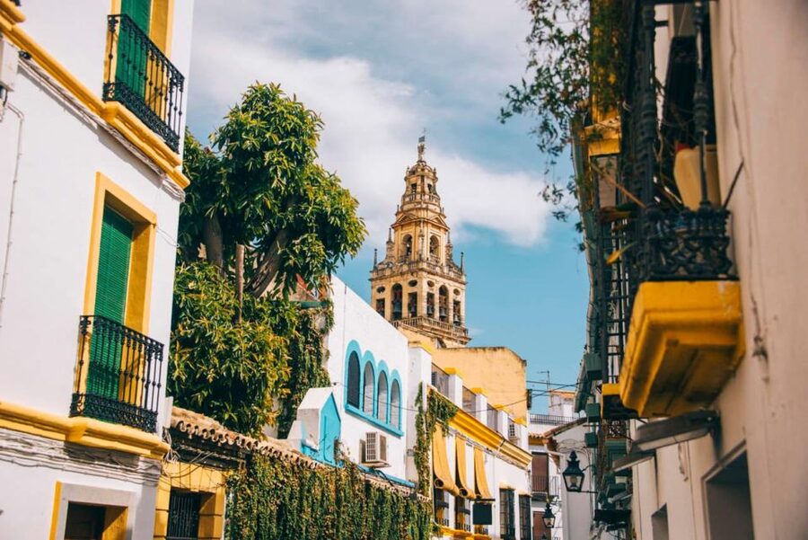 From Seville: Cordoba Full-Day Tour with Tickets Included - Entering the Mosque-Cathedral and its forest of columns