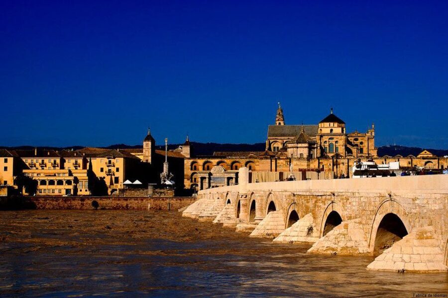From Seville: Cordoba Full-Day Tour with Tickets Included - Is $123 good value for this full-day format?