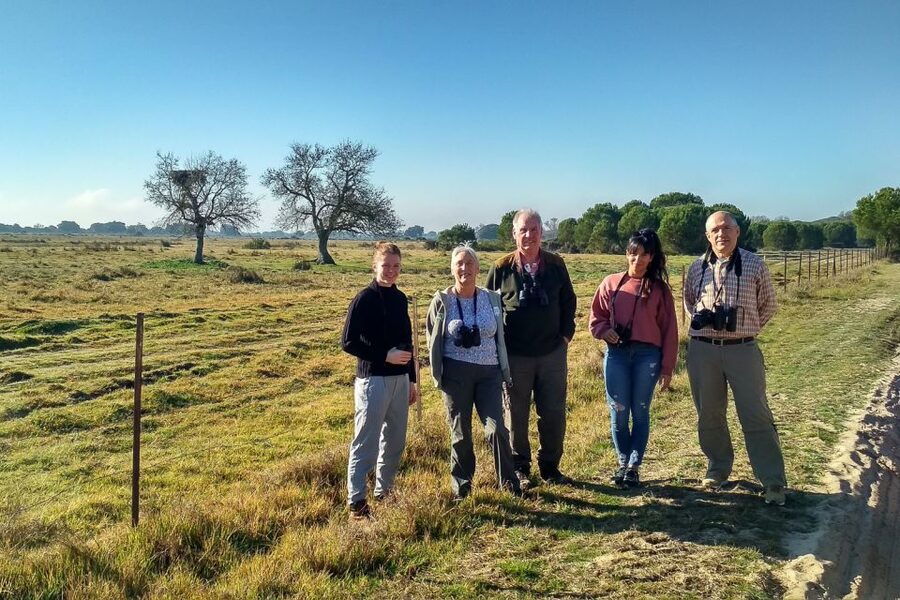 From Seville: Doñana National Park Day Trip - The guides are the tour’s strongest feature