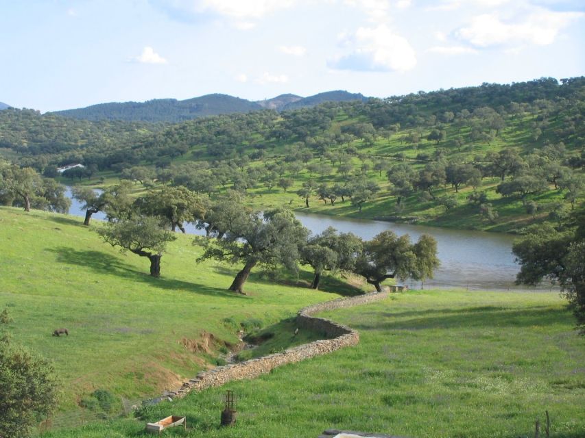 From Seville: Full-Day Aracena & Rio Tinto Mines Tour - Key points at a glance