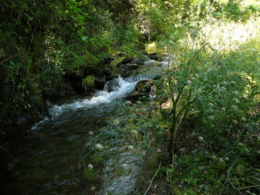 From Seville: Full-Day Aracena & Rio Tinto Mines Tour - Aracena, lunch, and the castle viewpoint