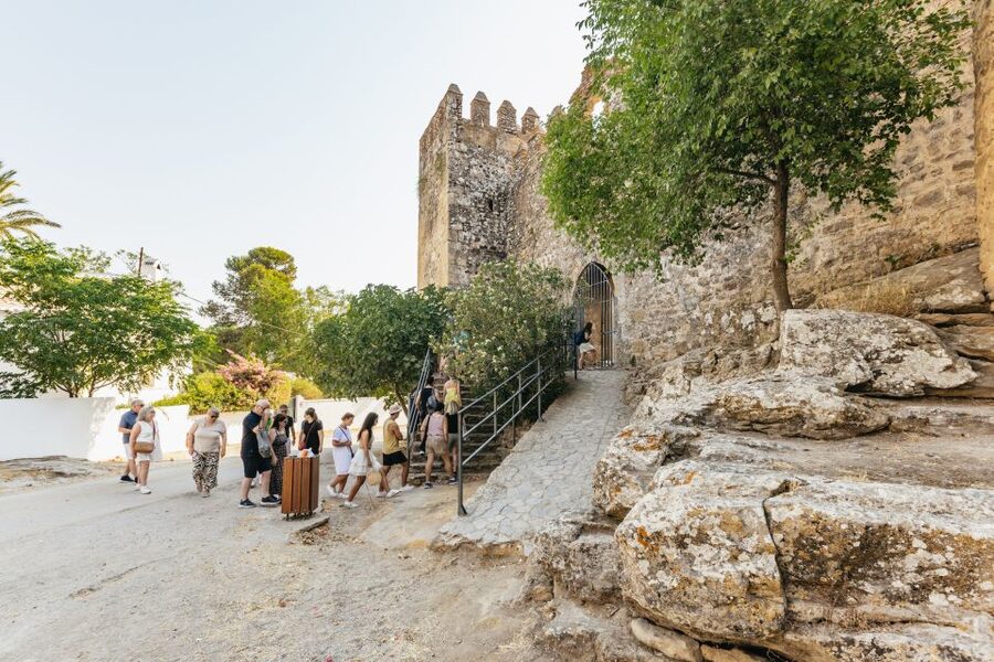 From Seville: Pueblos Blancos and Ronda Full-Day Trip - Who will get the most from this trip?
