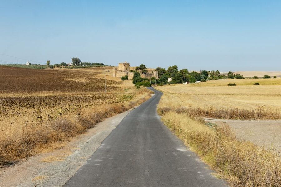 From Seville: Pueblos Blancos and Ronda Full-Day Trip - Grazalema, mountain scenery, and lunch