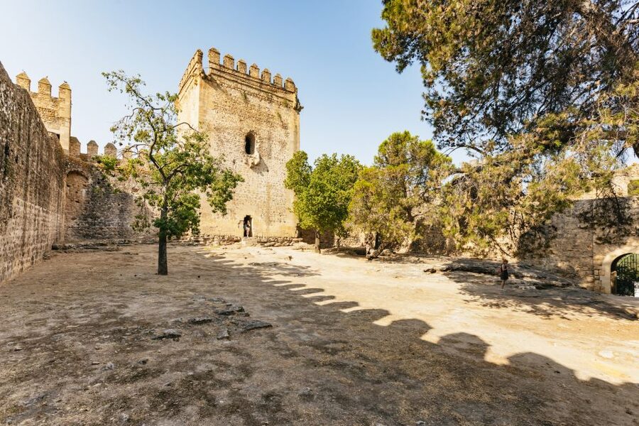 From Seville: Pueblos Blancos and Ronda Full-Day Trip - Through cork forests and working countryside