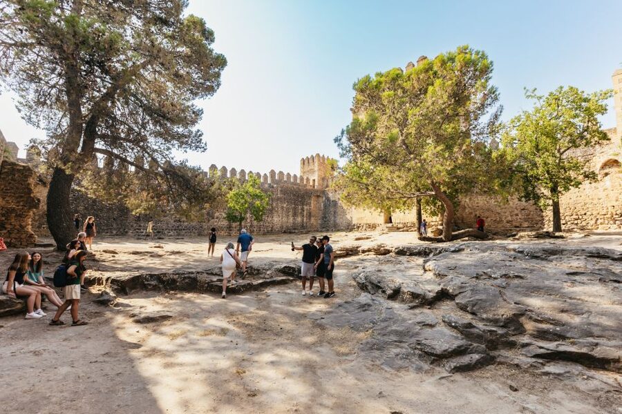 From Seville: Pueblos Blancos and Ronda Full-Day Trip - The guide can shape the whole day