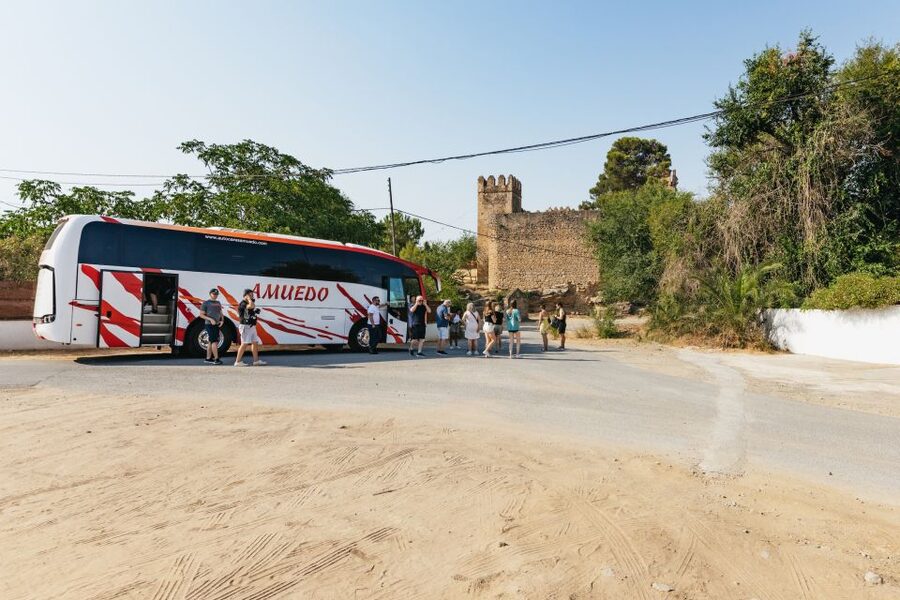 From Seville: Pueblos Blancos and Ronda Full-Day Trip - How hard is the day?