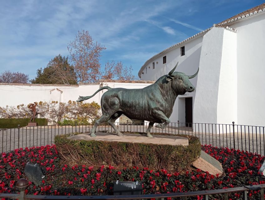 From Seville: Ronda+Setenil de las Bodegas Day Trip - Key points at a glance
